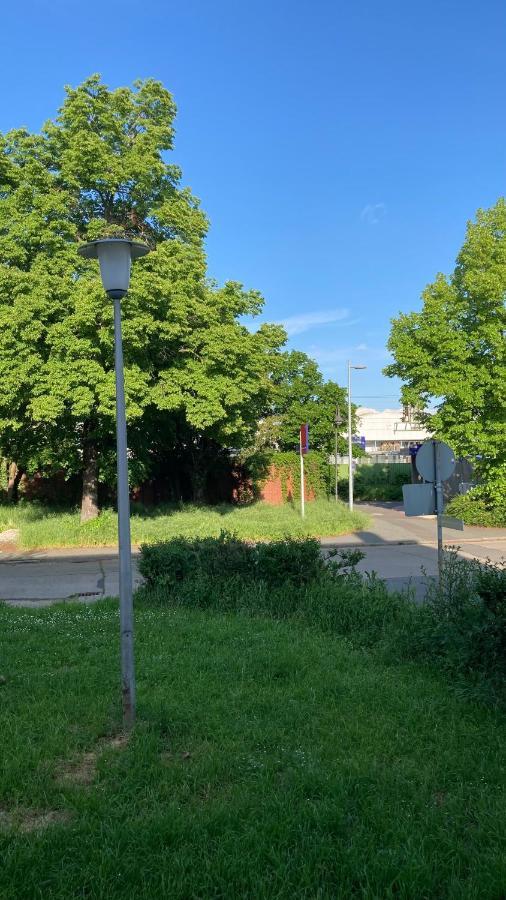 Ferienwohnung -Isola Madre Biebesheim am Rhein Екстер'єр фото